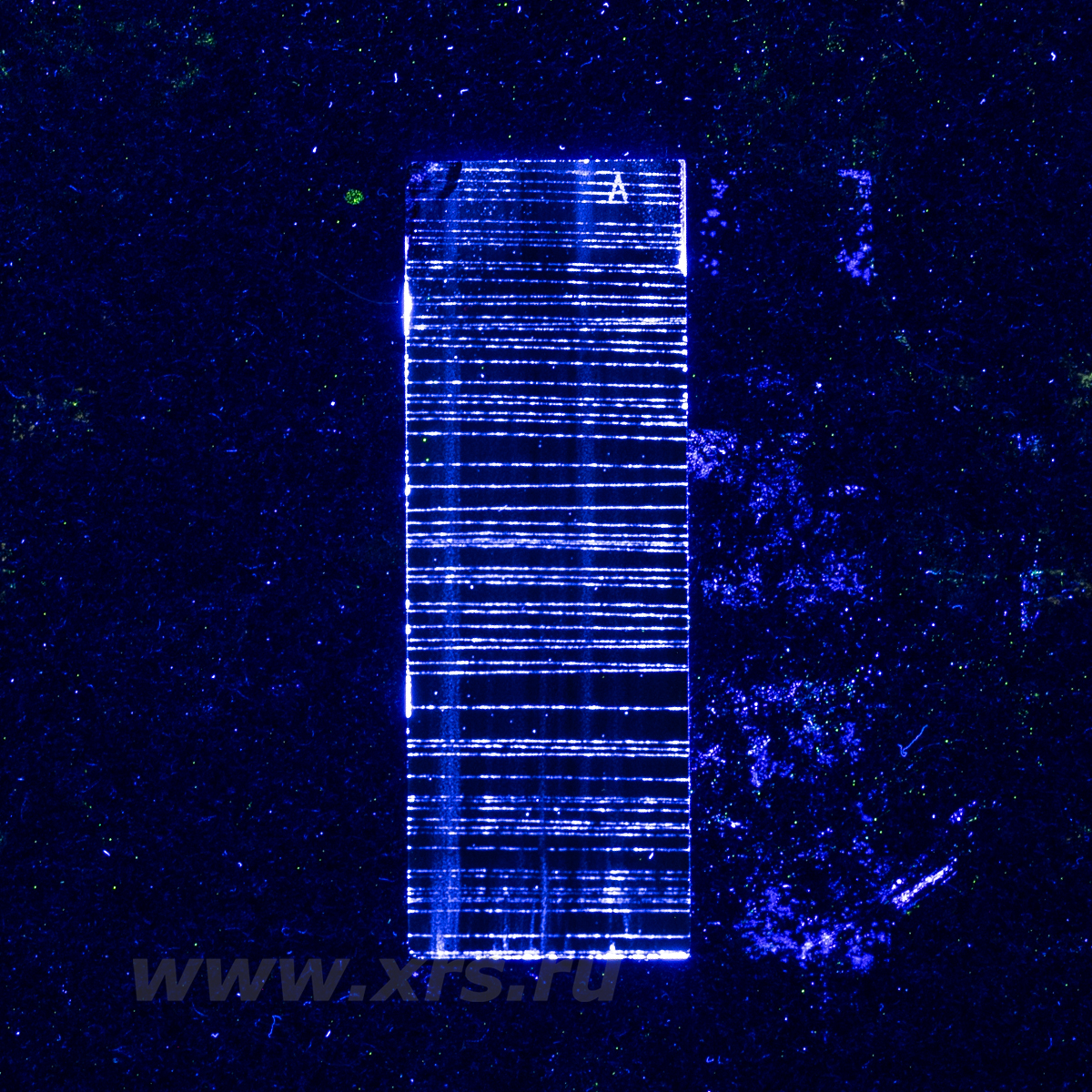 Пенетрант на образце типа 1 по ГОСТ Р ИСО 3452-3 в УФ-освещении после нанесения проявителя